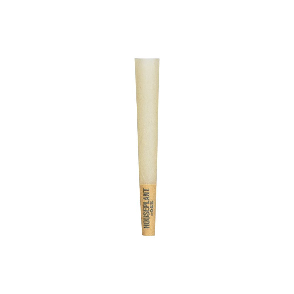 Houseplant by OCB Cones - Bamboo / 8pc / Mini 32ct