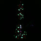 Pulsar Greatest Hits Series Glow Herb Pipe Duo / 10" / 14mm F