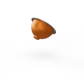 BEED DIY Capsules