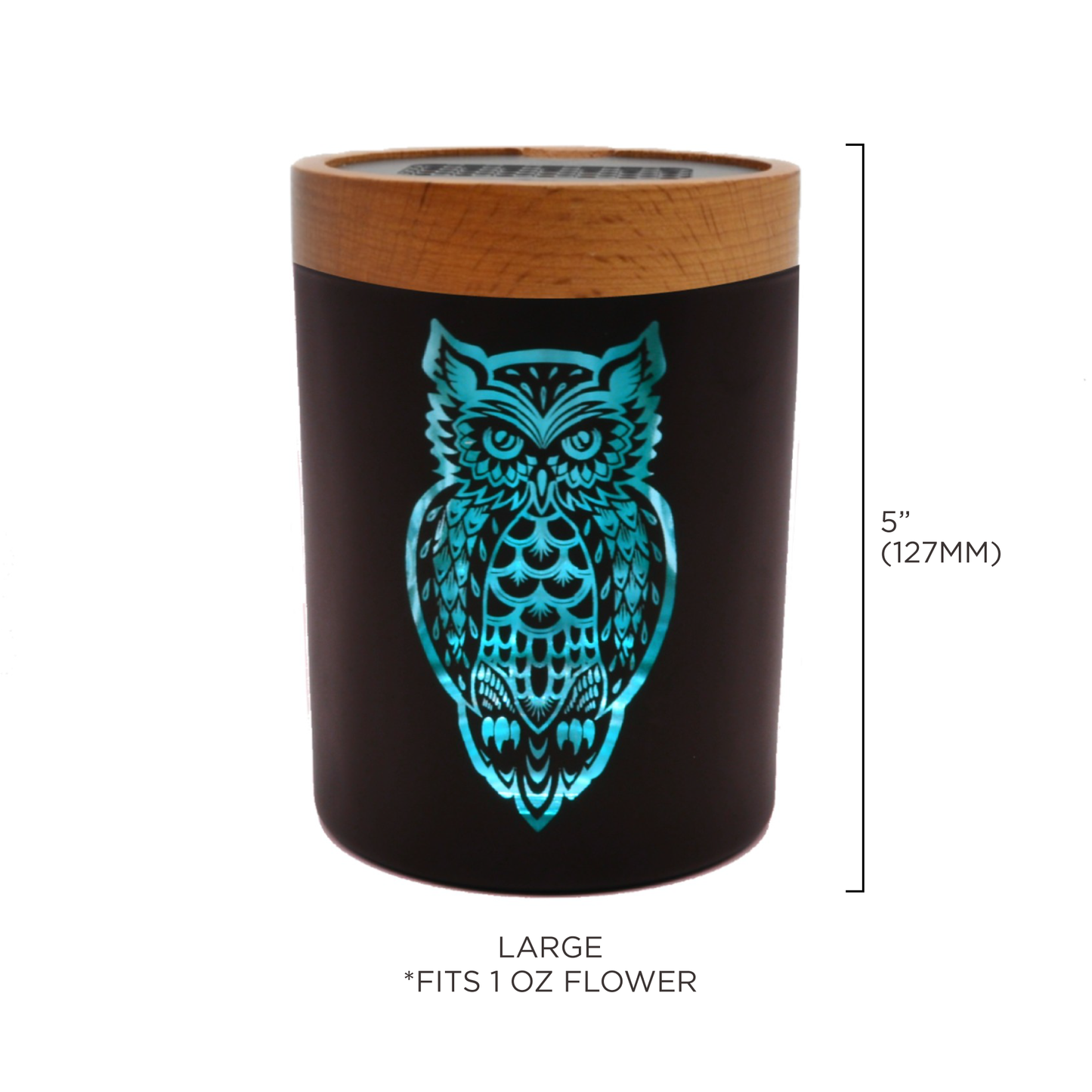 Owllusion Turquoise SoleStash