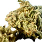 Ripkitty Gelato #33 THCA Hemp Flowers