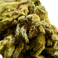 Ripkitty Mendo Breath THCA Hemp Flowers