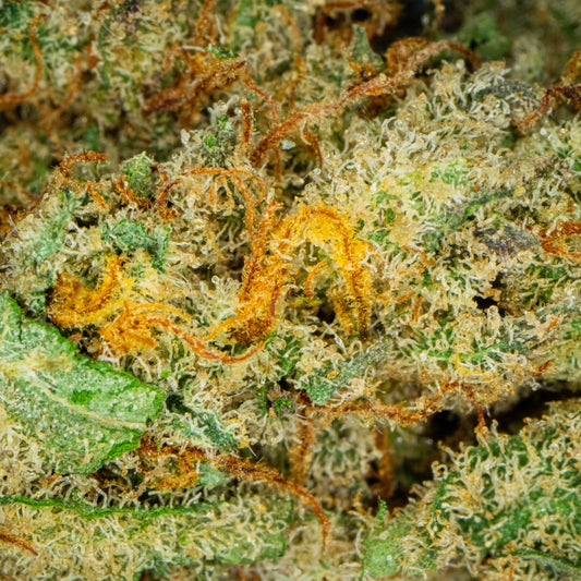 Silver Haze