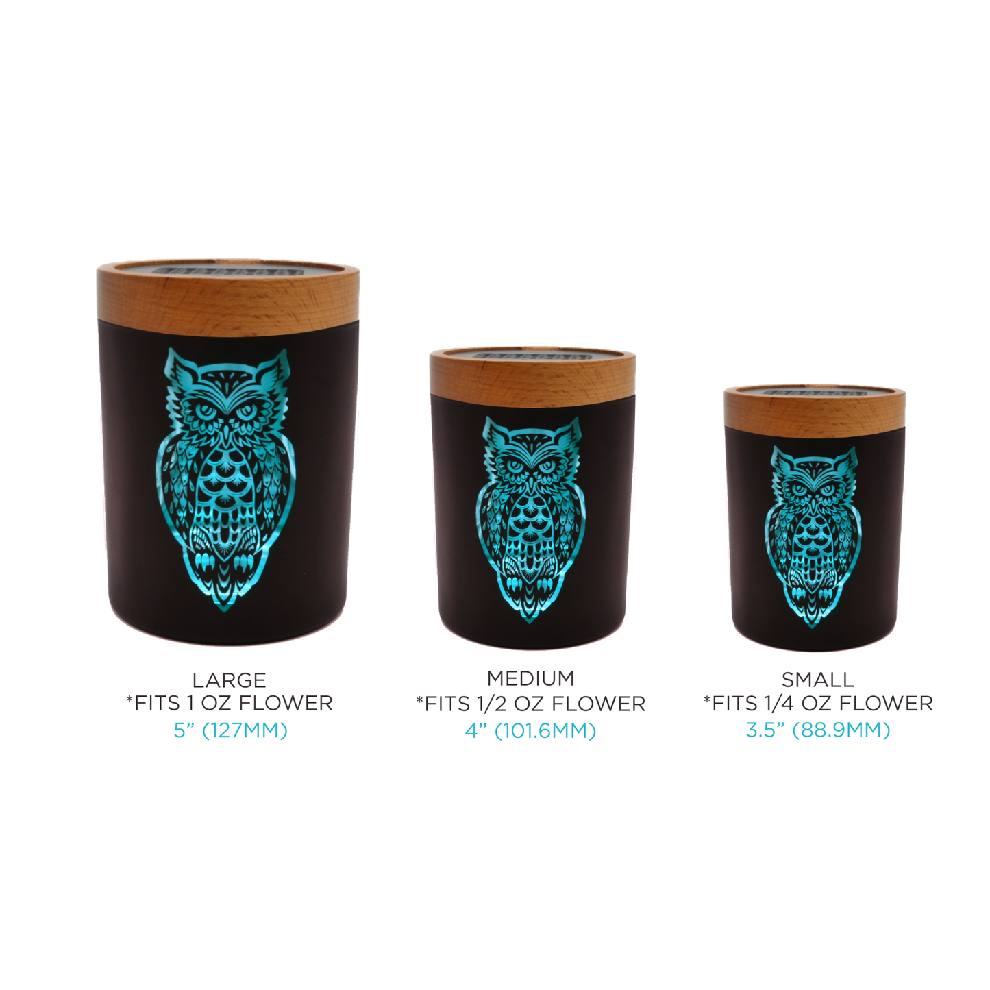 Owllusion Turquoise SoleStash