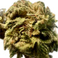 Ripkitty Gelato #33 THCA Hemp Flowers