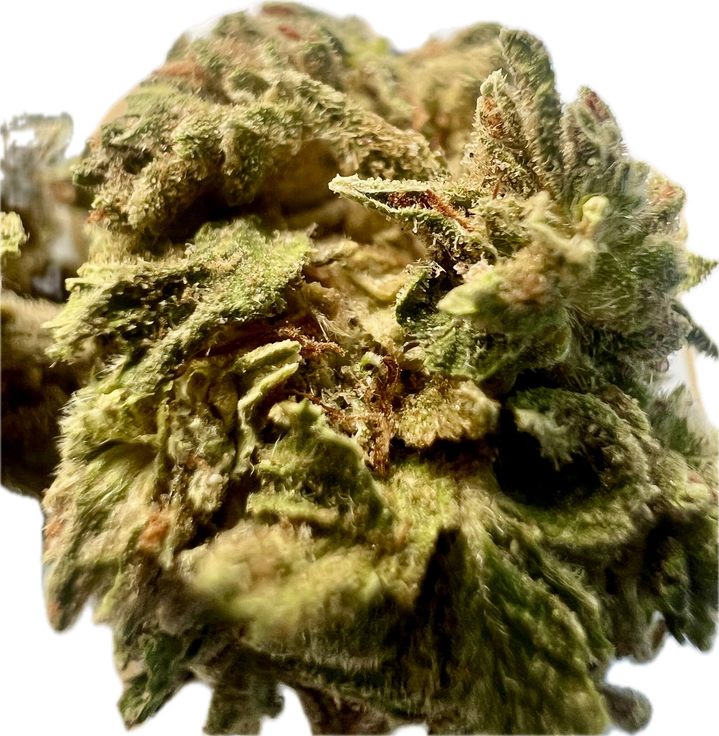 Ripkitty Gelato #33 THCA Hemp Flowers